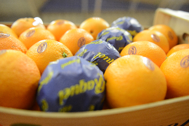 oranges